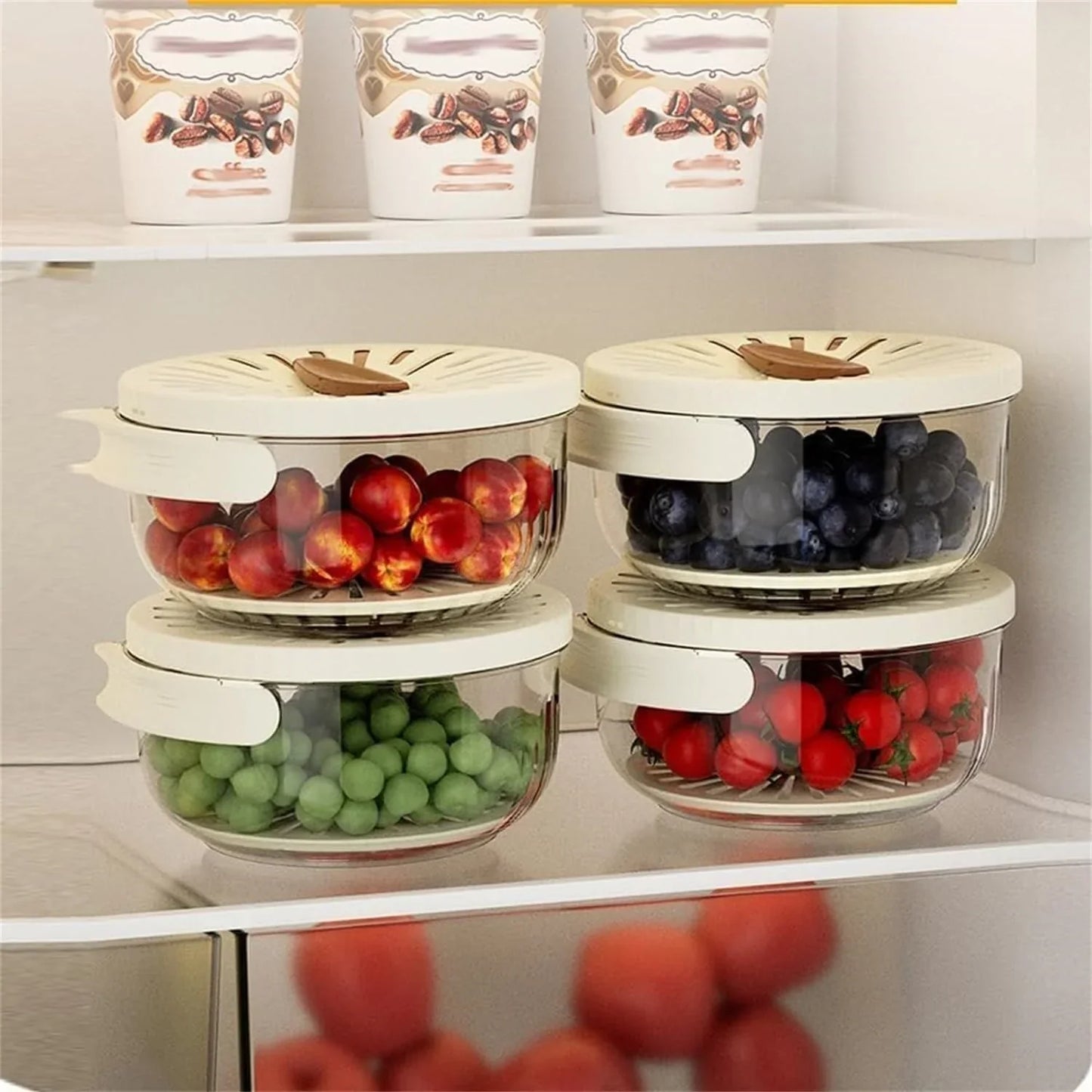 DGLT – FreshKeeper Frischhaltebehälter für Obst & Gemüse